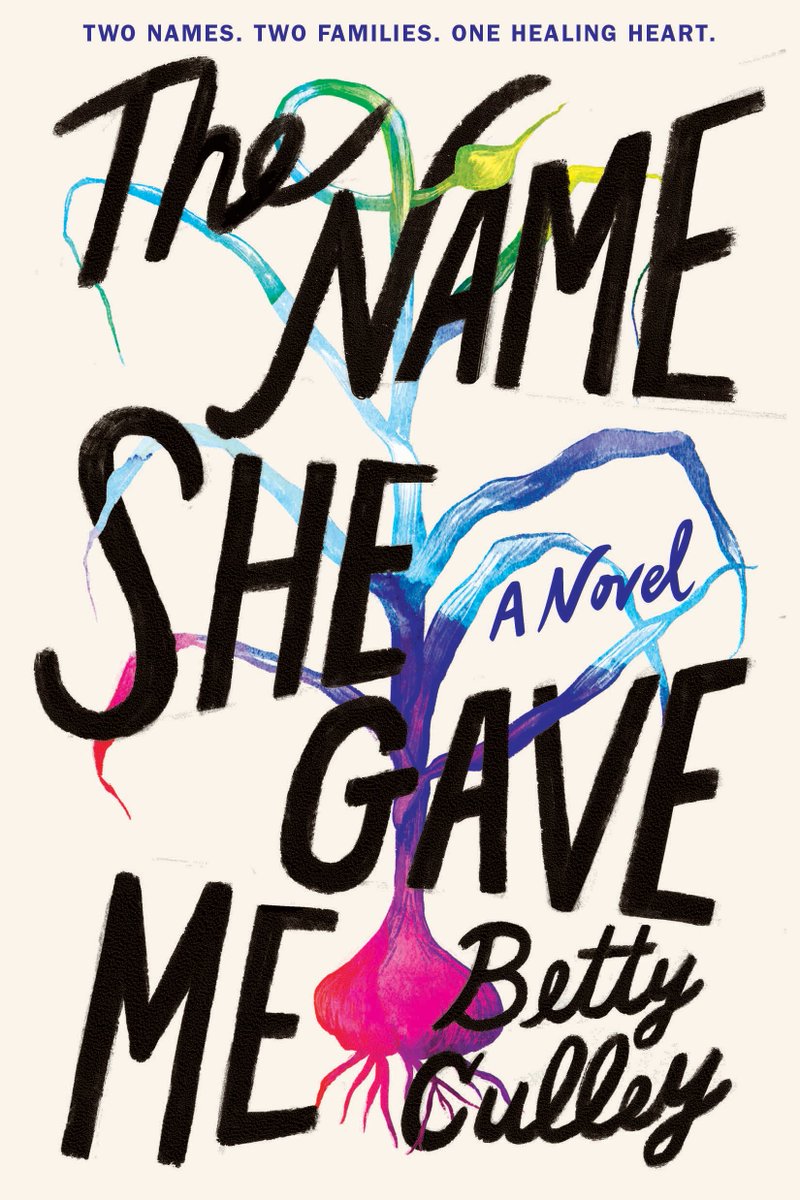 The Name She Gave Me cover