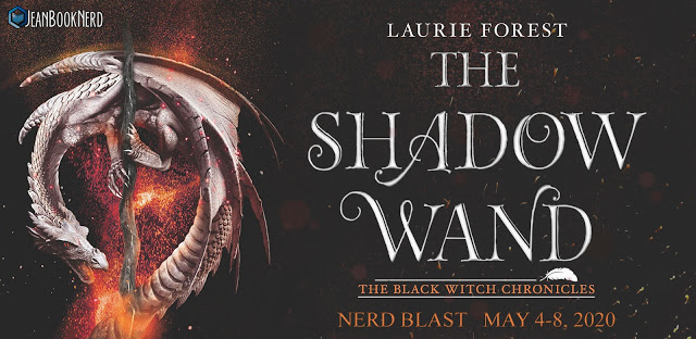 THE SHADOW WAND by Laurie Forest Storytellers BOX.